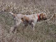 041203 Ezza Pointing